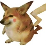 种楚妮
