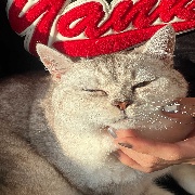 Niko-xy