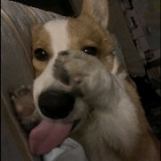 糯米奶团子