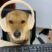 爱冲A大冷艳少妇