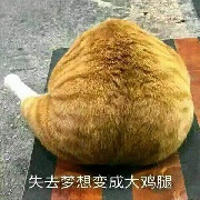 好像寄了家人们