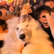 明日晴转阴