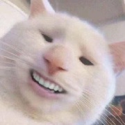猪脚卧龙