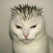 迈克龙