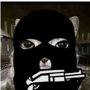 T-匪猫