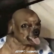 avemTw