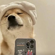 w玛卡巴卡w
