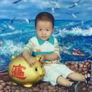 第一马枪手骡子