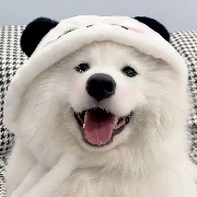 鉛筆io