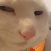 我大拉你架得住吗