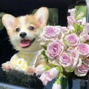 久别梦境才重逢