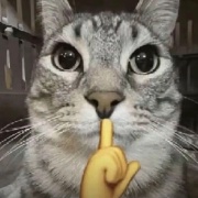 DGZTMNB
