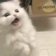 我才不是大帅哥