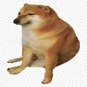 cheems要买些薯条吗