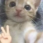 啊HAO是个小傻蛋