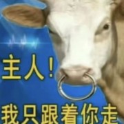 路边-条