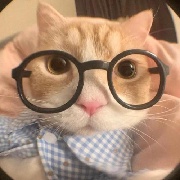 逐梦丫