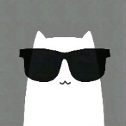 别看了我也不会