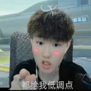 新手不会玩别骂