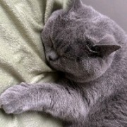 Furia的arT本人..