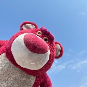 大熊Lotso