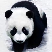 司空寒时