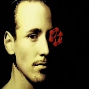 别打了去玩手机吧