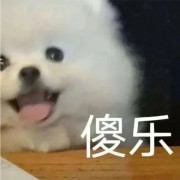 qyc666