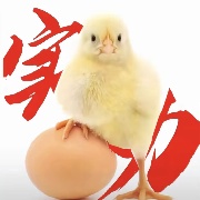 O5O