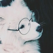 何处有无为青年