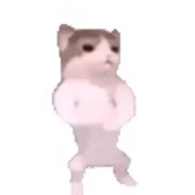 蛋仔之星