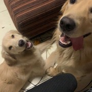 秋秋秋秋秋秋秋凉