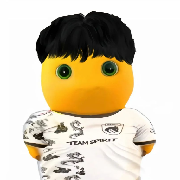 wsdzxxm