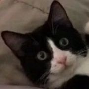 华北最后一名硬汉