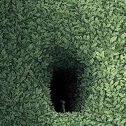 笨蛋那个不是洞丫