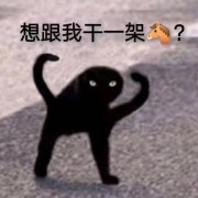 西一西猫