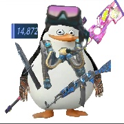 马达加斯加的菜鸟