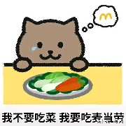 国服梦奇胖猫