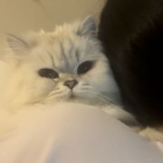 天河街浪子钟少