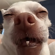 ZzzzzyHHH
