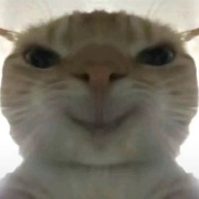 你是真的师