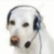 爱情公寓player展博