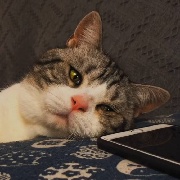 如何防备坏女人