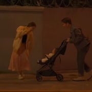 竹子树上开樱花