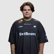 TeamSpirit的ZweiH本入