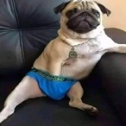 他和她的故事。