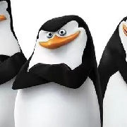 老大Skipper