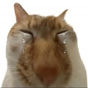 存钱给你买USP