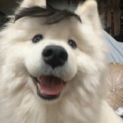 时间停了