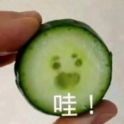 小红书1